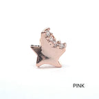 A5 296 ［サージカルステンレス］ストーン星ピアス