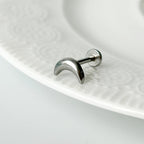 YLR 017 ［サーカルステンレス］月ラブレットピアス