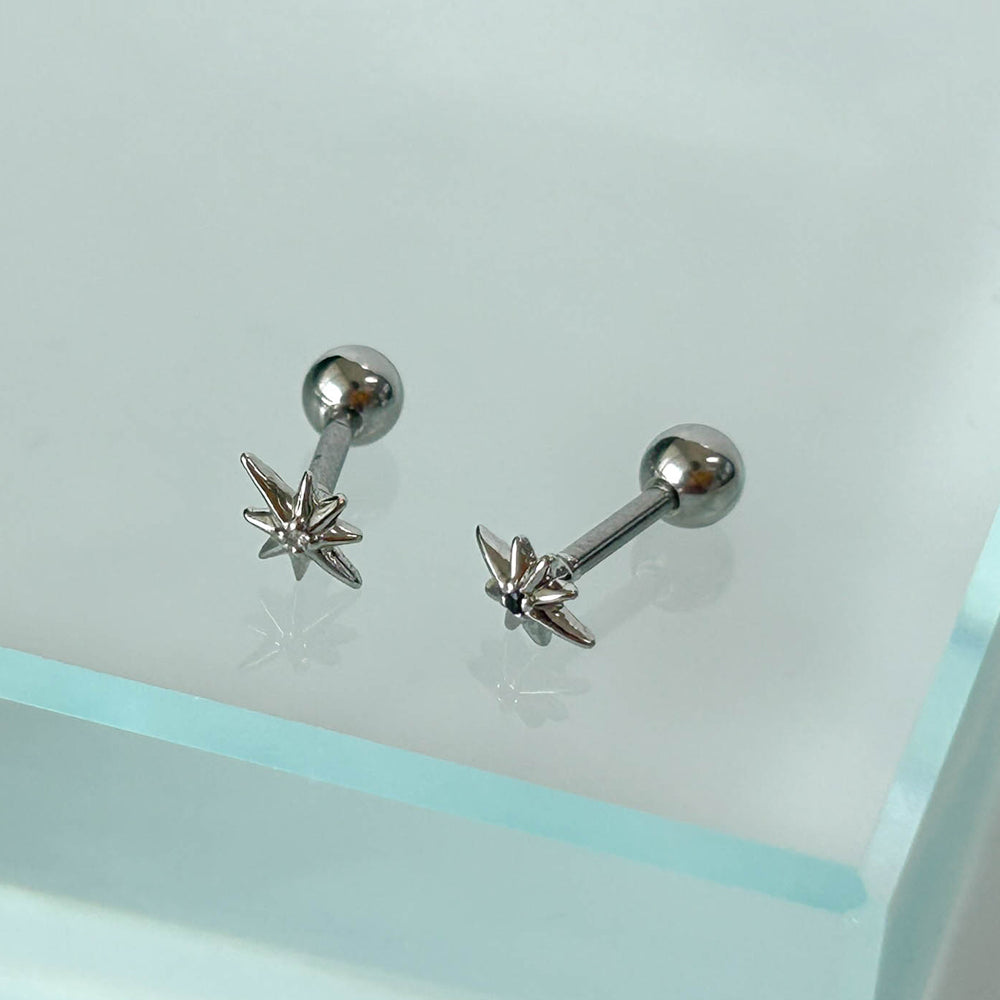 B3 015 ［サージカルステンレス］スターライトピアス