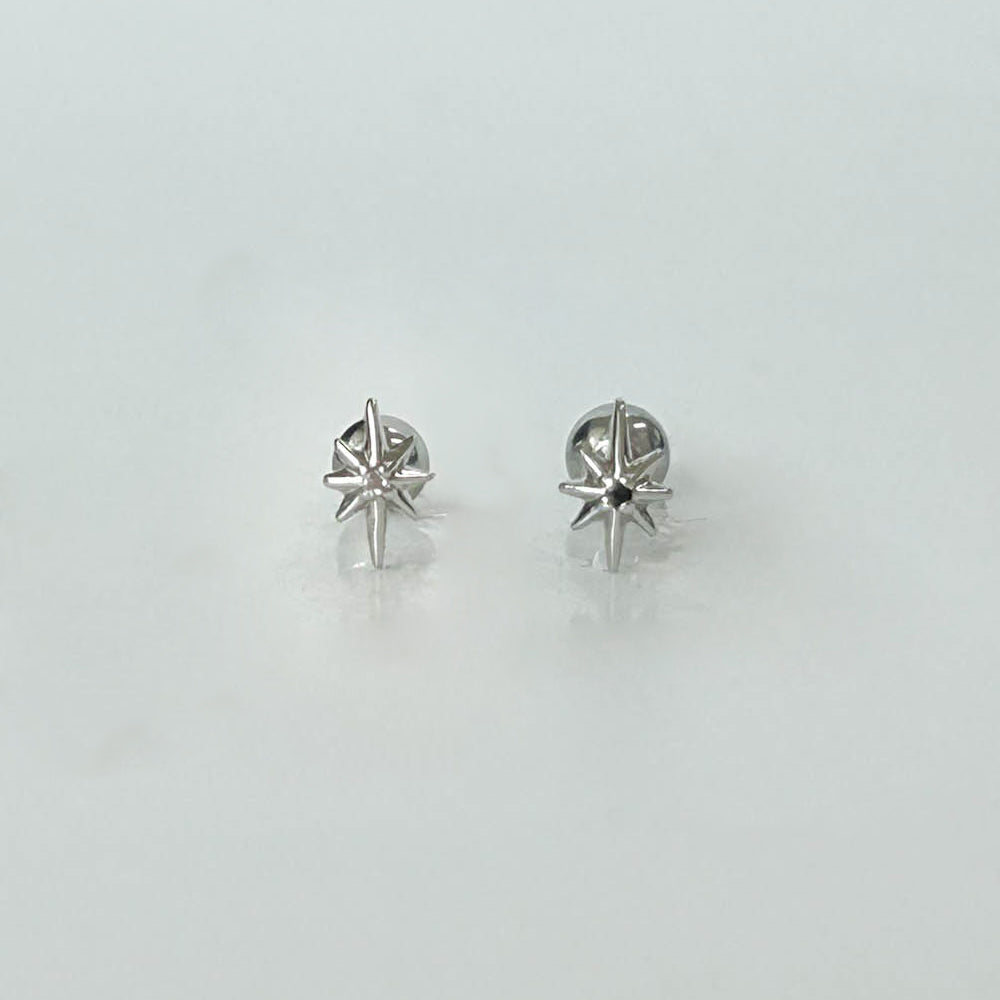 B3 015 ［サージカルステンレス］スターライトピアス